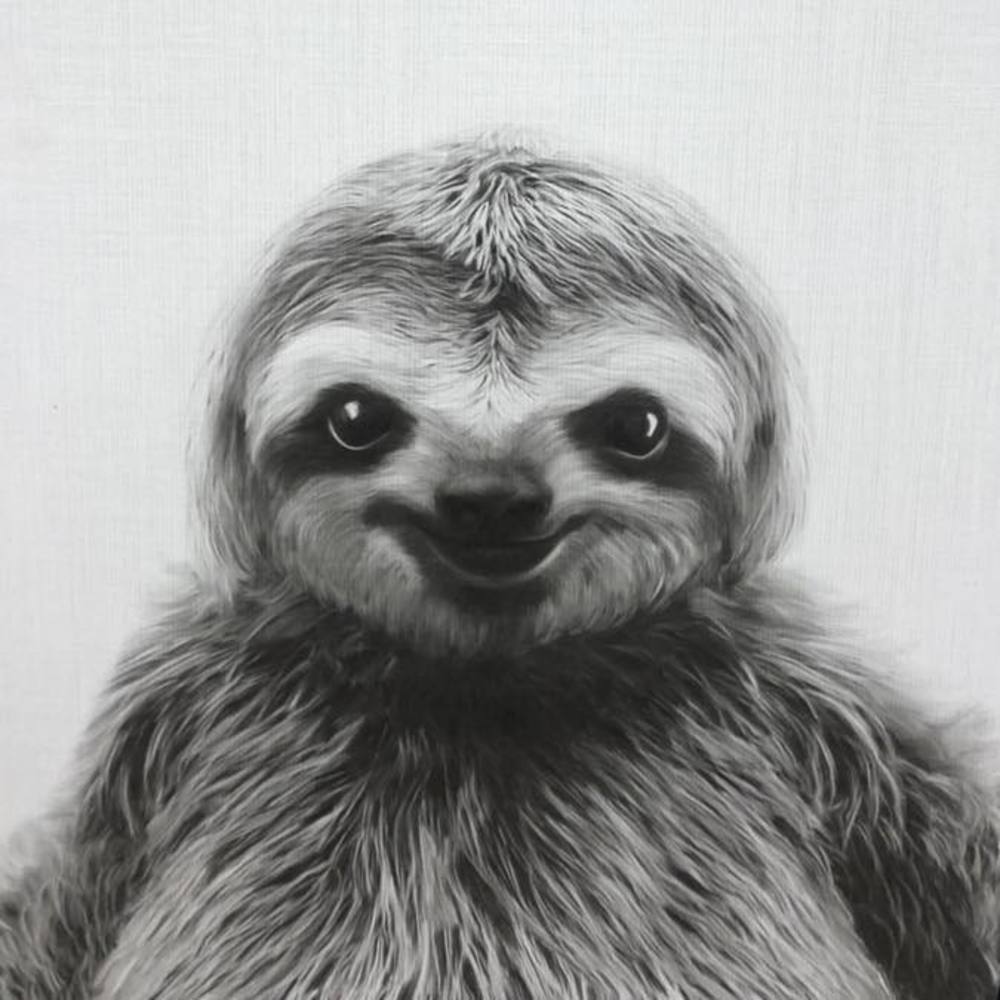 Meet your Posher, Shellyse